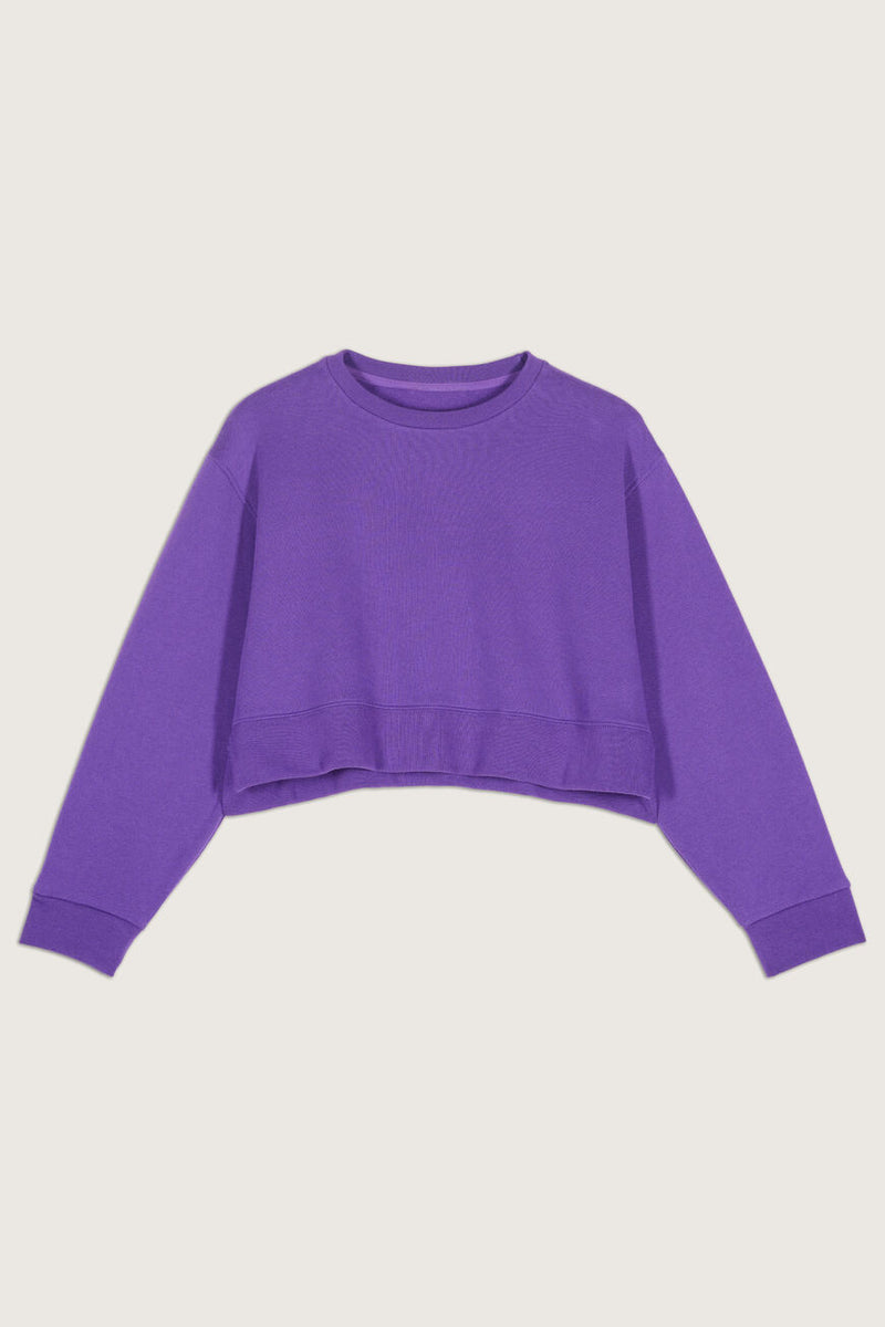 Sweat Daisy