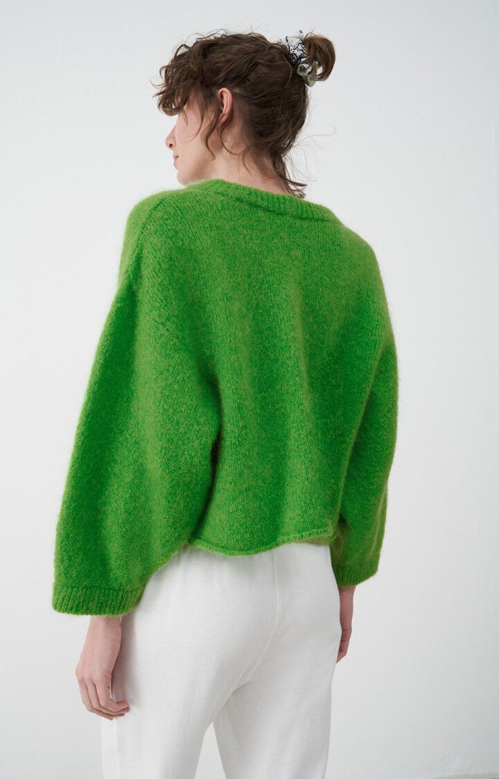 Gilet Pinobery Vert